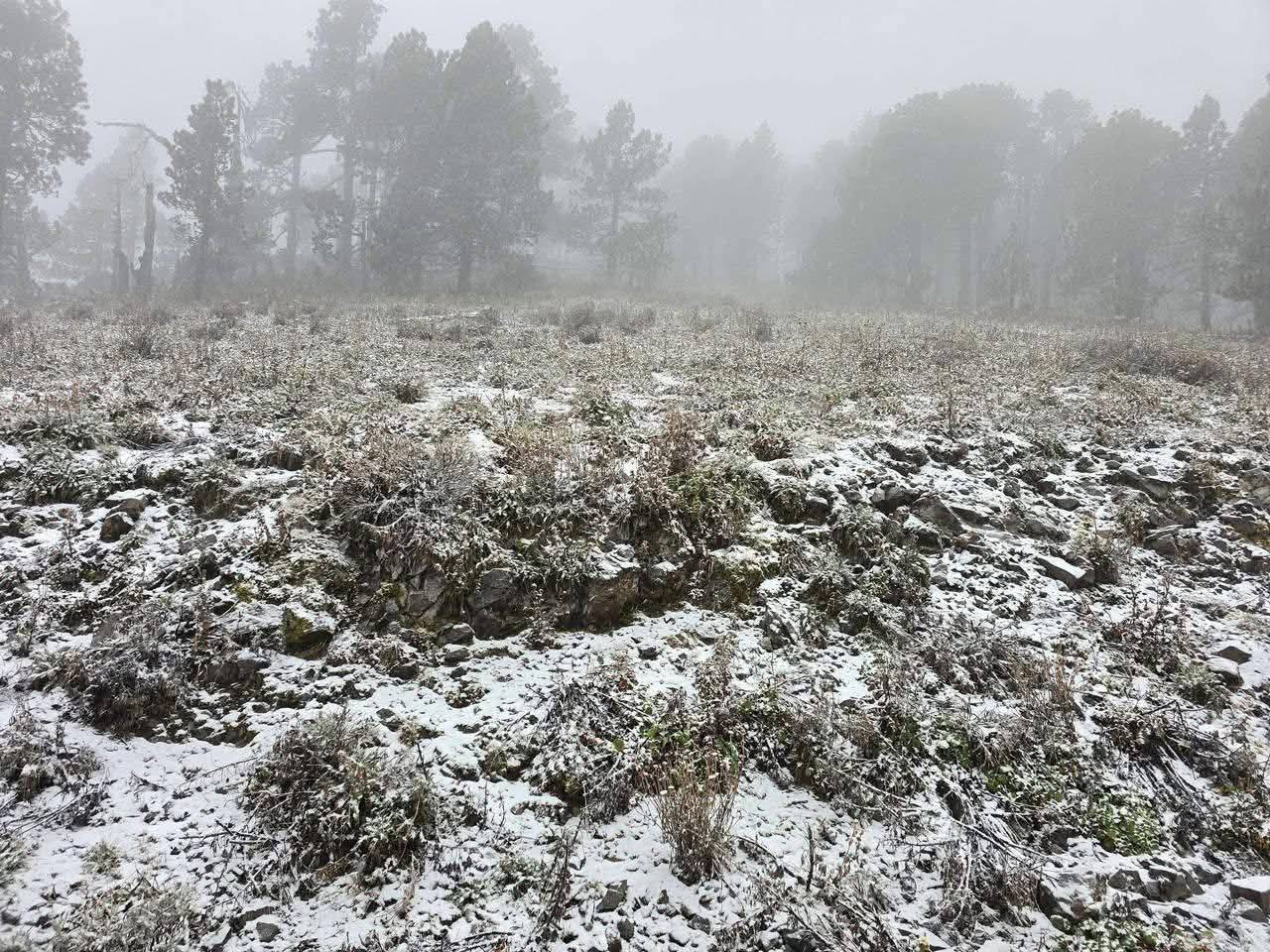 Frente frío 27 provoca caída de nieve y aguanieve en Nuevo León
