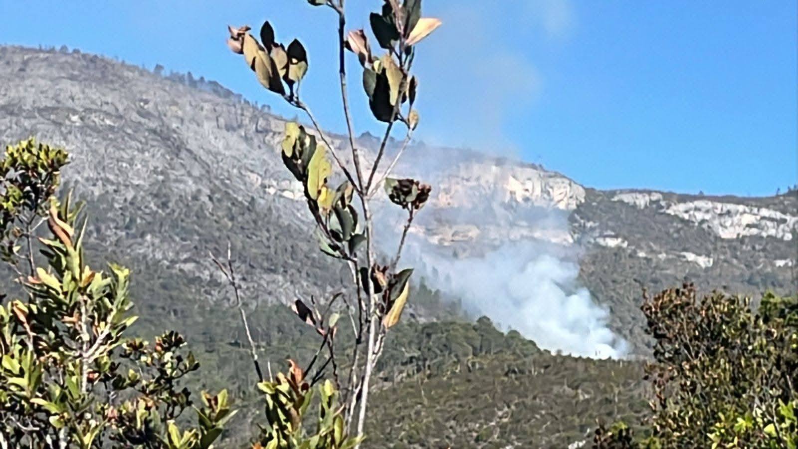 Incendio en la sierra de Miquihuana consume 250 hectáreas