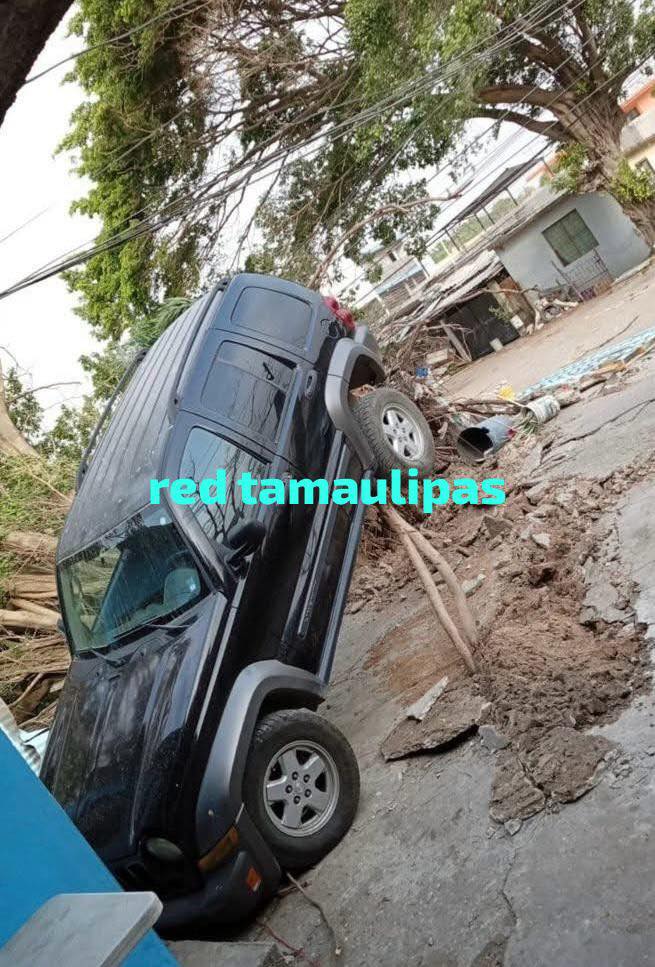 Árbol gigante “levanta” y destroza Jeep Liberty estacionada