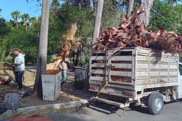 Activa Municipio operativo de limpieza y prevención por fuertes vientos en Victoria