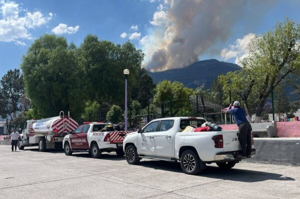 Incendio forestal en Miquihuana arrasa con 69 hectáreas de pino