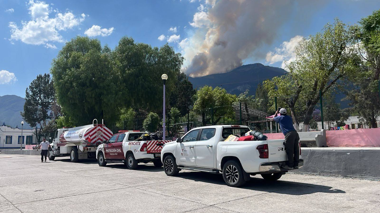 Incendio forestal en Miquihuana arrasa con 69 hectáreas de pino