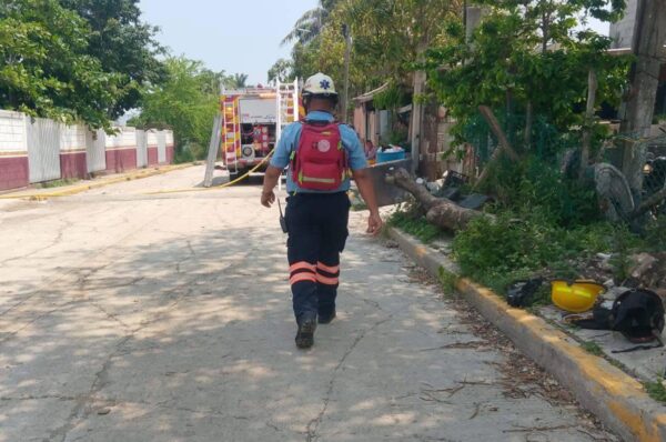 Ataque de abejas en telesecundaria! Alumnos y maestros resultan lesionados en Altamira