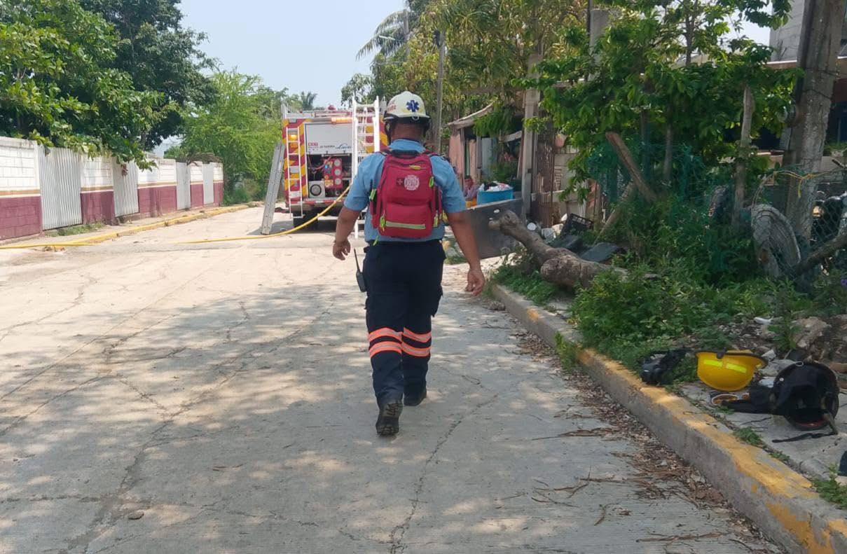 Ataque de abejas en telesecundaria! Alumnos y maestros resultan lesionados en Altamira