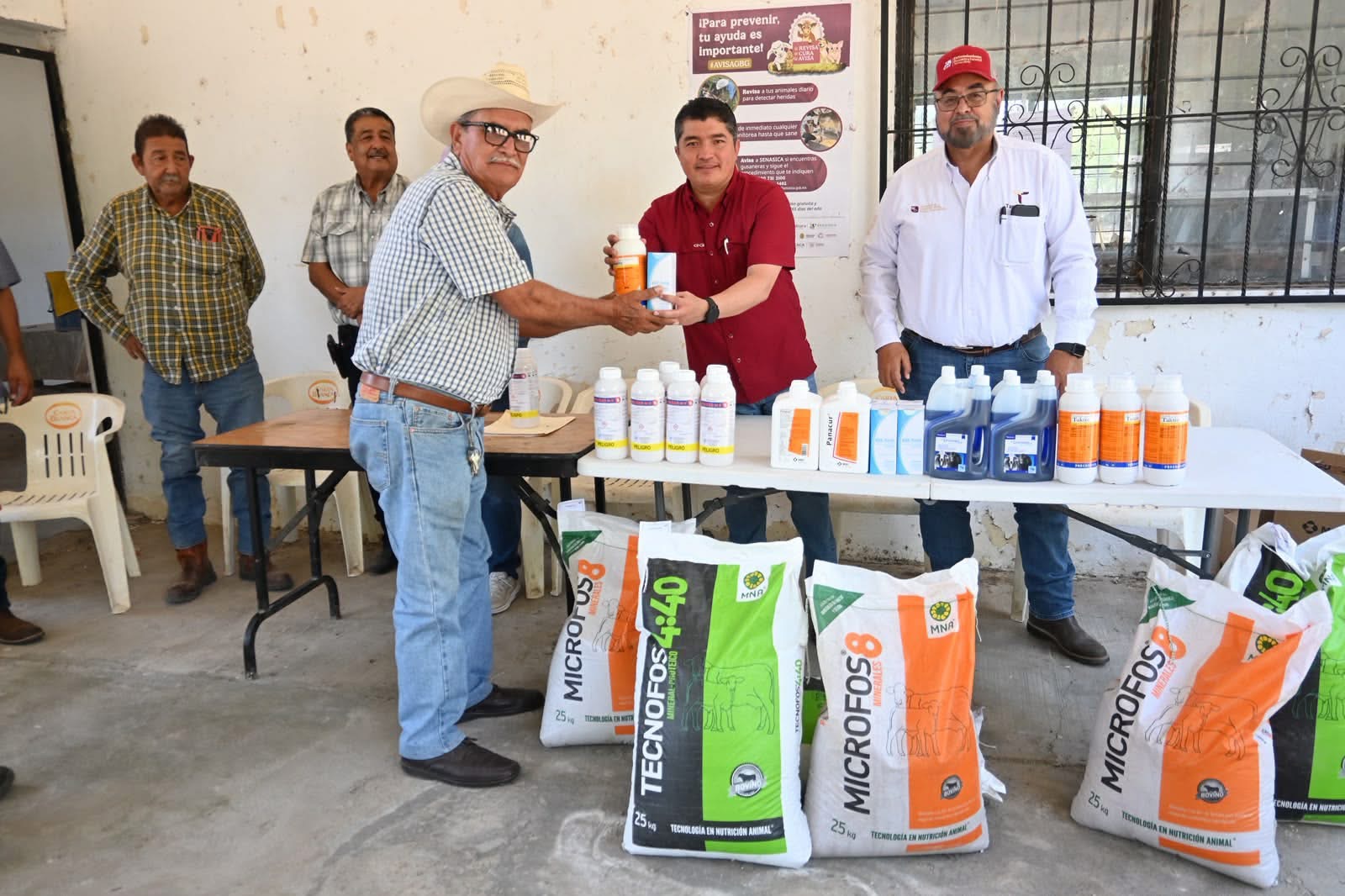 Fortalecen la sanidad animal y la productividad del campo con apoyos pecuarios