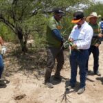 Se suma UAT a la Jornada Nacional de Reforestación 2026 En Tamaulipas