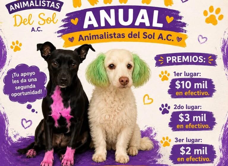 #Comparte