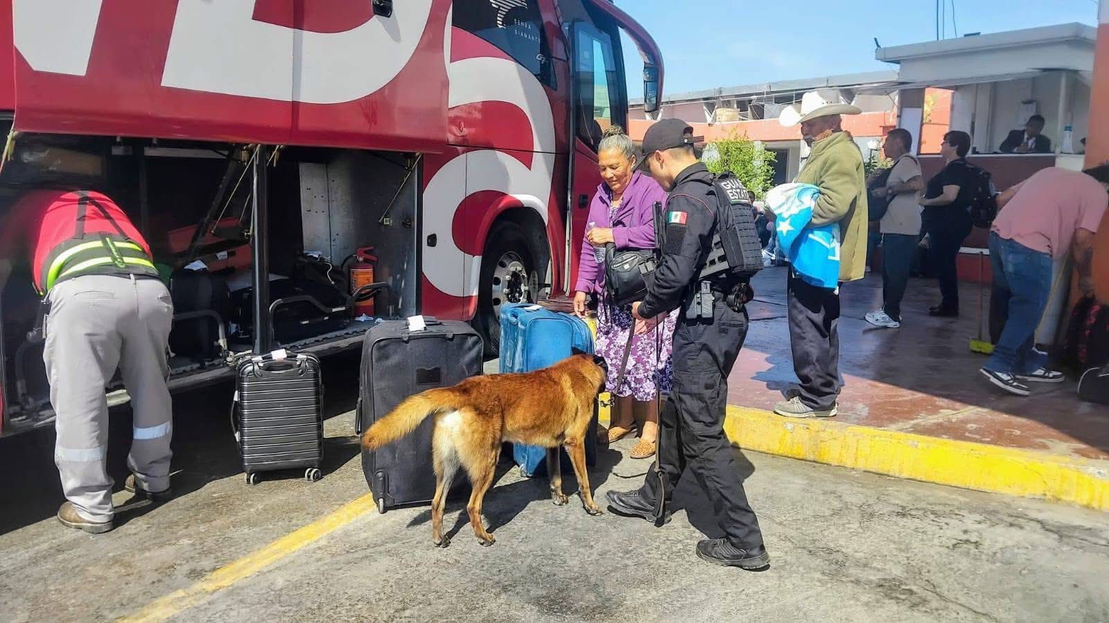 Operativo con perros K-9 previene traslado de productos ilícitos en Central de Autobuses de Ciudad Victoria